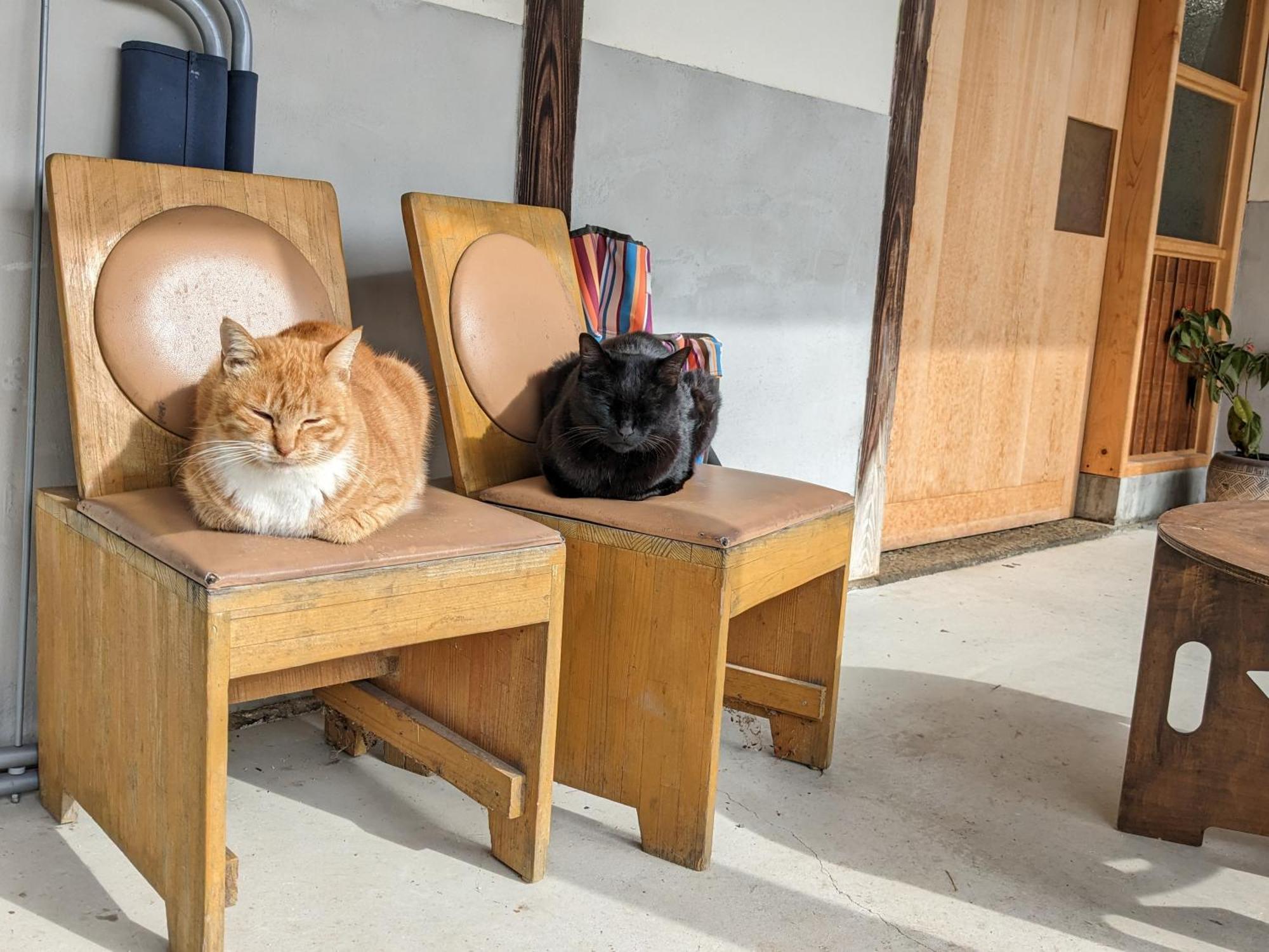 猫と図書館のある宿 草地家 Kusachike Minamiawaji Dış mekan fotoğraf