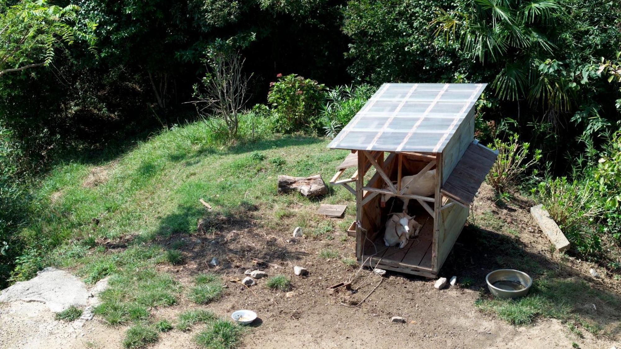 猫と図書館のある宿 草地家 Kusachike Minamiawaji Dış mekan fotoğraf