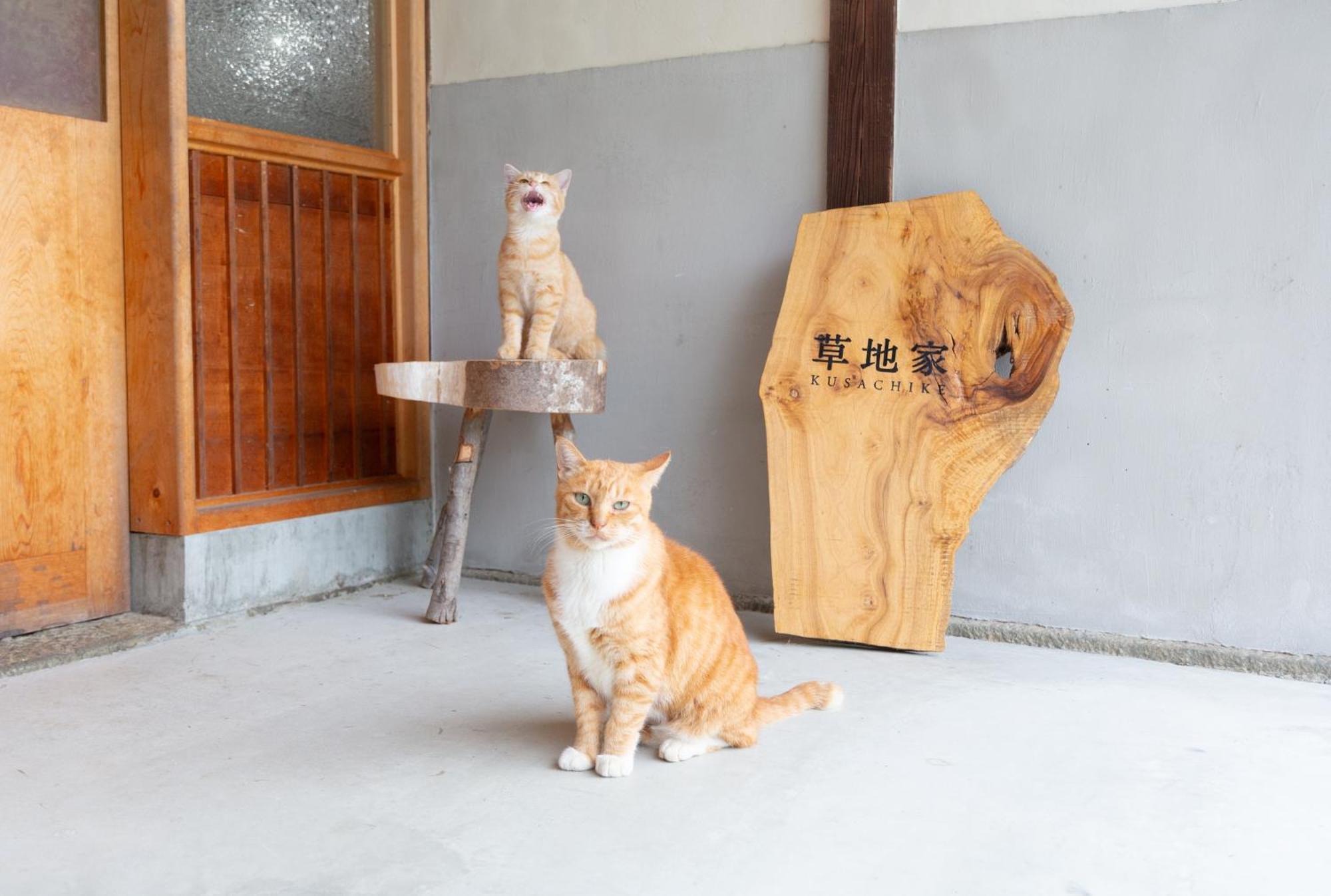 猫と図書館のある宿 草地家 Kusachike Minamiawaji Dış mekan fotoğraf